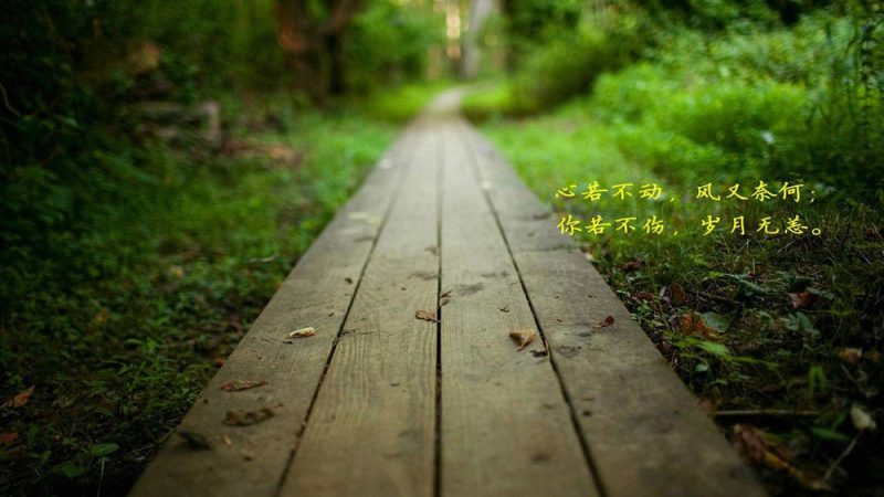 坦坦荡荡过生活，简简单单走人生。-晴时絮语