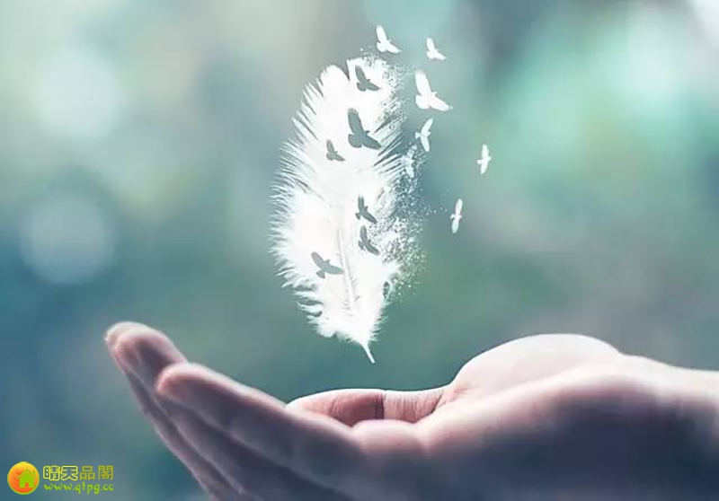 人生，依旧难免郁郁葱葱纷杂，愿独守一方清宁。-晴时絮语